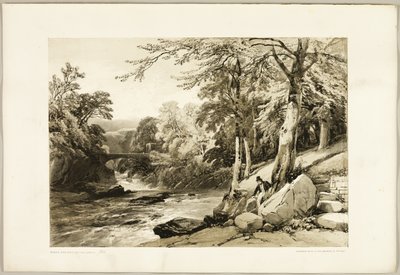 Faggio e frassino sulla Greta, da Il parco e la foresta da James Duffield Harding