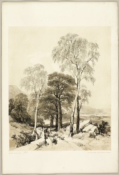 Betulla e Quercia, dal Parco e la Foresta da James Duffield Harding