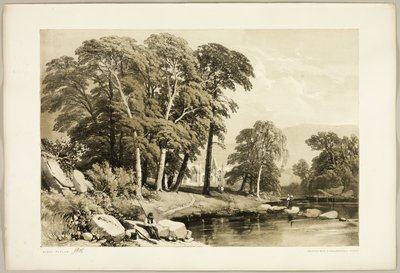 Pioppo Nero, da Il Parco e la Foresta da James Duffield Harding
