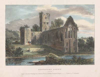 Abbazia di Buttevent da James Duffield Harding