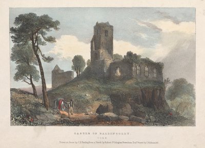 Castello di Ballincolly da James Duffield Harding