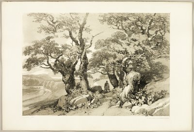 Vecchie querce, da Il parco e la foresta da James Duffield Harding