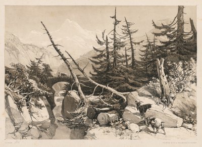 Pini e ponte, 1841 da James Duffield Harding