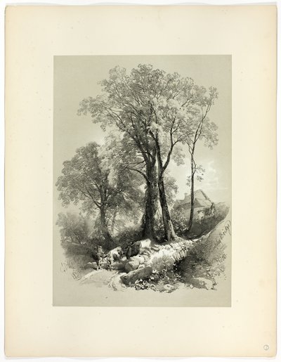 Ponte di Shipley, Devon, da Selezioni pittoresche da James Duffield Harding