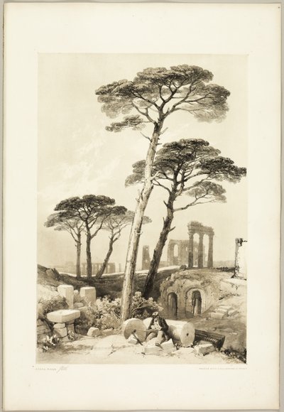 Pini di Pietra, da Il Parco e la Foresta da James Duffield Harding