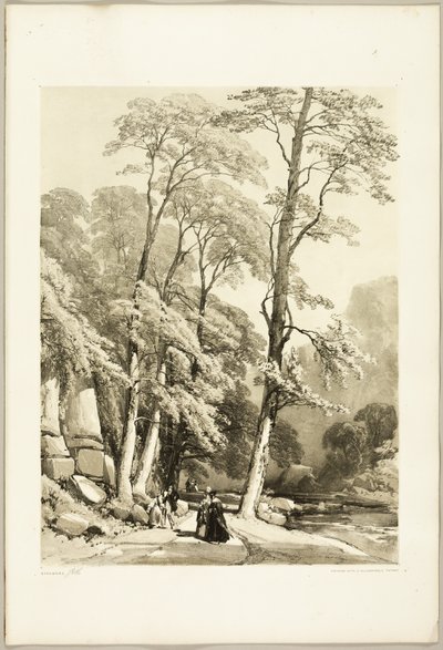 Sicomoro, da Il parco e la foresta da James Duffield Harding