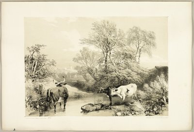 Spina, salice, faggio e betulla, da Il parco e la foresta da James Duffield Harding