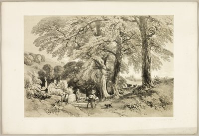 Olmo di Wych, da The Park and the Forest da James Duffield Harding