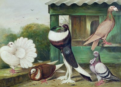 Immagine sconosciuta da James E. Bourhill