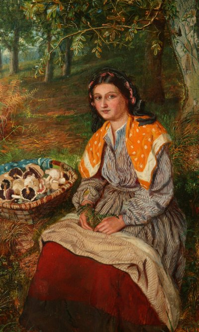Il raccoglitore di funghi da James Edgar