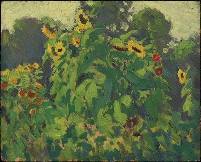 Girasoli, Thornhill, 1916 da James Edward Hervey Macdonald