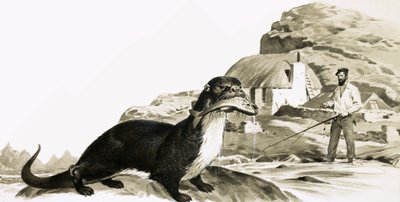Lontra con pesce e uomo che pesca da James Edwin McConnell