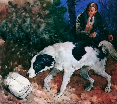 Pickles, il cane della Coppa del Mondo (litografia a colori) da James Edwin McConnell