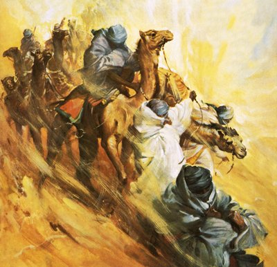 Rosita Forbes parte alla ricerca della fortezza semi-mitica di Kufra da James Edwin McConnell