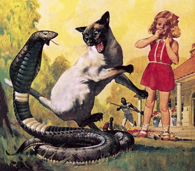 Il gatto coraggioso da James Edwin McConnell