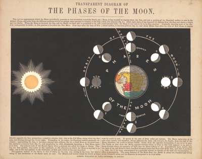 Diagramma trasparente delle fasi della luna da James & Emslie John (1813 75) Reynolds