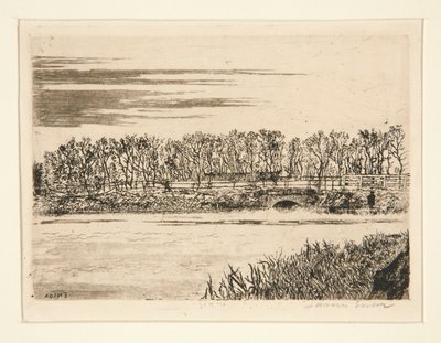 Il ponte nel bosco a Ostenda da James Ensor