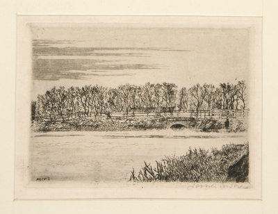 Il ponte nel bosco a Ostenda da James Ensor