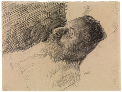 Il padre dell