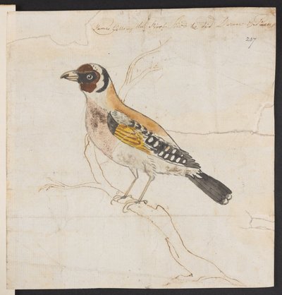 Nido di uccelli, c. 1757-1815 da James Gillray
