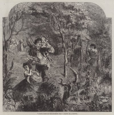 Tornando a casa per la via più breve da James Godwin
