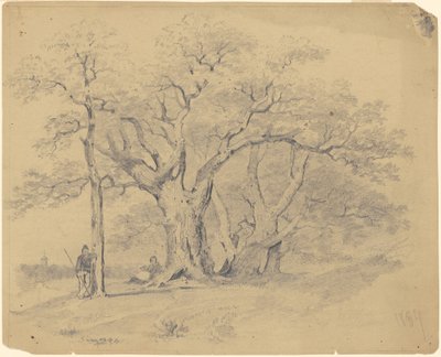 Vicino ai vecchi alberi di quercia da James Goodwyn Clonney
