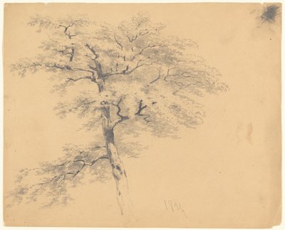 Albero da James Goodwyn Clonney