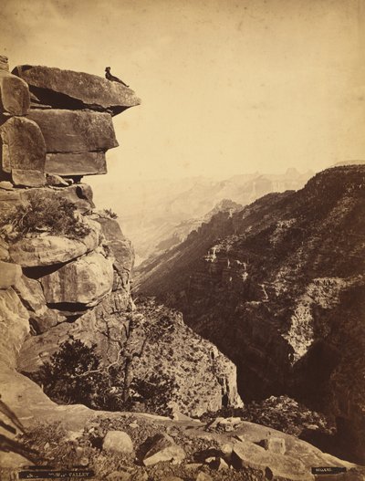 Valle di Mukuntuweap (Zion Canyon), Utah da James H. Fennemore