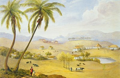 Haughton Court, Hanover, Giamaica, c.1820 da James Hakewill