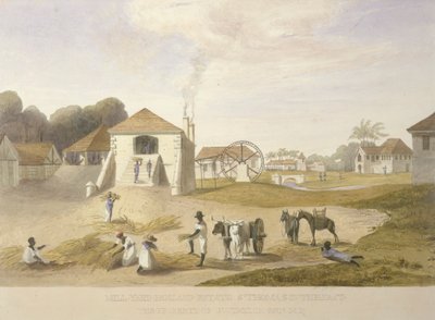 Cortile del mulino, Holland Estate, St. Thomas in the East da James Hakewill