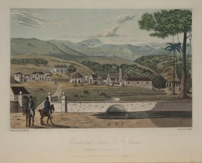 Tenuta Montpelier, St. James