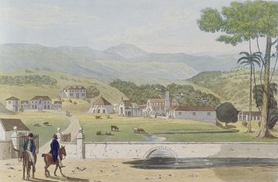 Montpelier Estates, St James, da 