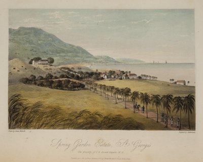Tenuta di Spring Garden, St. George