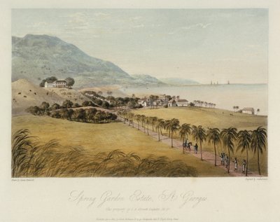 La proprietà di Spring Garden, a St. George (Caraibi), di proprietà di I R Grosett Esquire. Acquaforte colorata, 1 aprile da James Hakewill