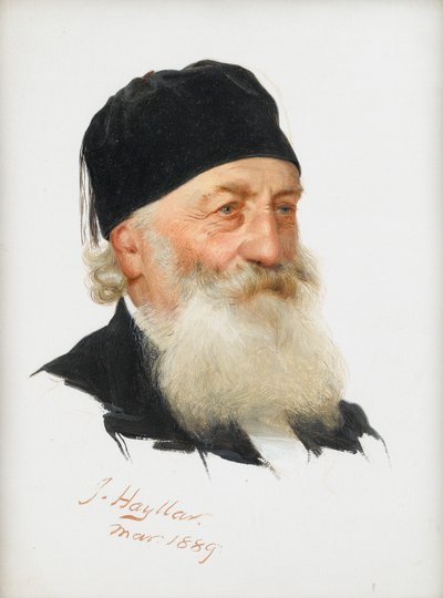 Studio di un gentiluomo barbuto, 1889 da James Hayllar