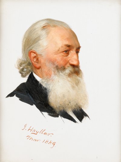 Studio di un gentiluomo barbuto, 1889 da James Hayllar
