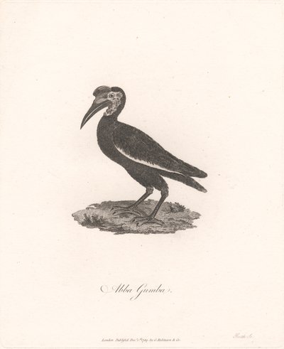 Abba Gumba da James Heath
