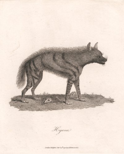 Iena da James Heath