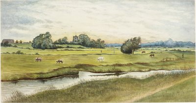 Ryton Meadows da James Henry Cleet