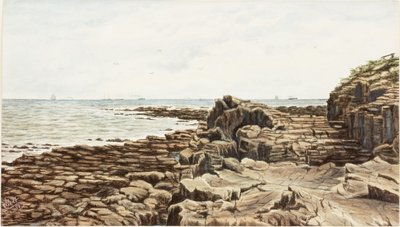 Tynemouth da Sharpness Point da James Henry Cleet