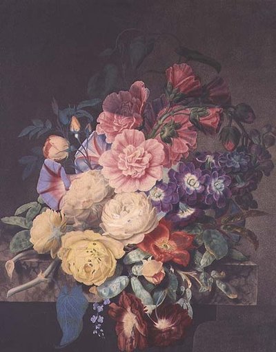 Malvarose e rose da James Hewlett