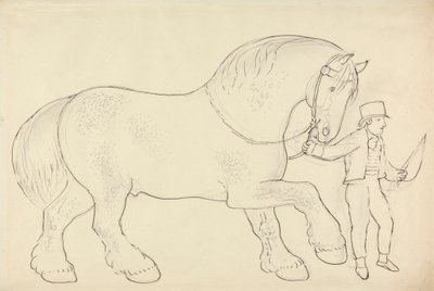 Cavallo da Tiro Condotto da James Howe