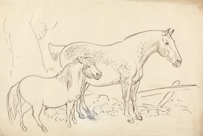 Cavallo e Pony da James Howe