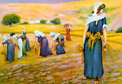 Ruth che raccoglie il grano nel campo, da "Storie della Bibbia". da James Jacques Joseph (after) Tissot