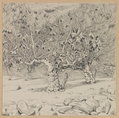 Fico, Valle di Hinnom, illustrazione da La vita di Nostro Signore Gesù Cristo da James Jacques Joseph Tissot