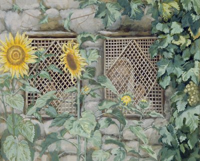 Gesù guarda attraverso una grata con girasoli, illustrazione per La Vita di Cristo, c.1886-96 da James Jacques Joseph Tissot