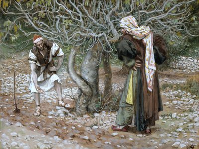 Il fico sterile, illustrazione per La vita di Cristo, c.1886-94 da James Jacques Joseph Tissot