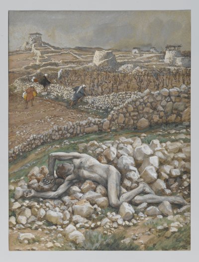 Il figlio della vigna, illustrazione da 