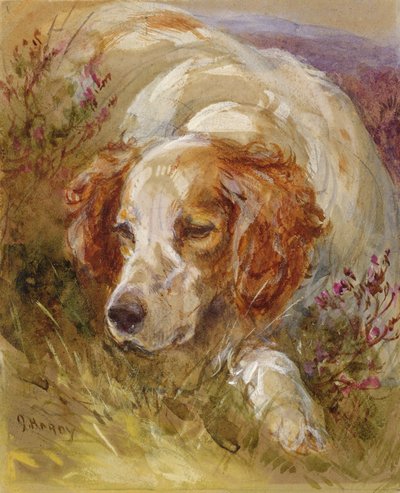 Uno spaniel da James Jnr Hardy