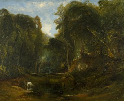 Valle dell